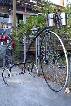 Adult Champagne Trike