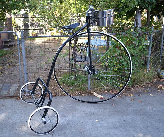 Adult Champagne Trike with Beverage bucket holders