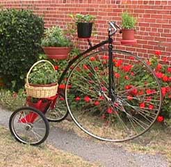 Deluxe Shelf Trike