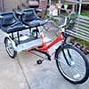 Adult Tricycle